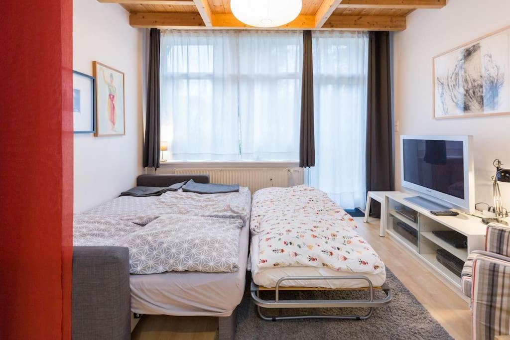 Apartment Wilhelmstr Fuer Bis Zu 3 Personen Brühl エクステリア 写真
