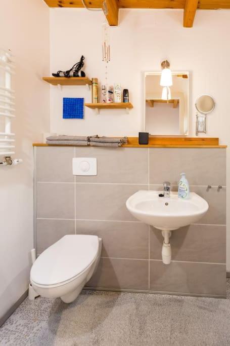 Apartment Wilhelmstr Fuer Bis Zu 3 Personen Brühl エクステリア 写真