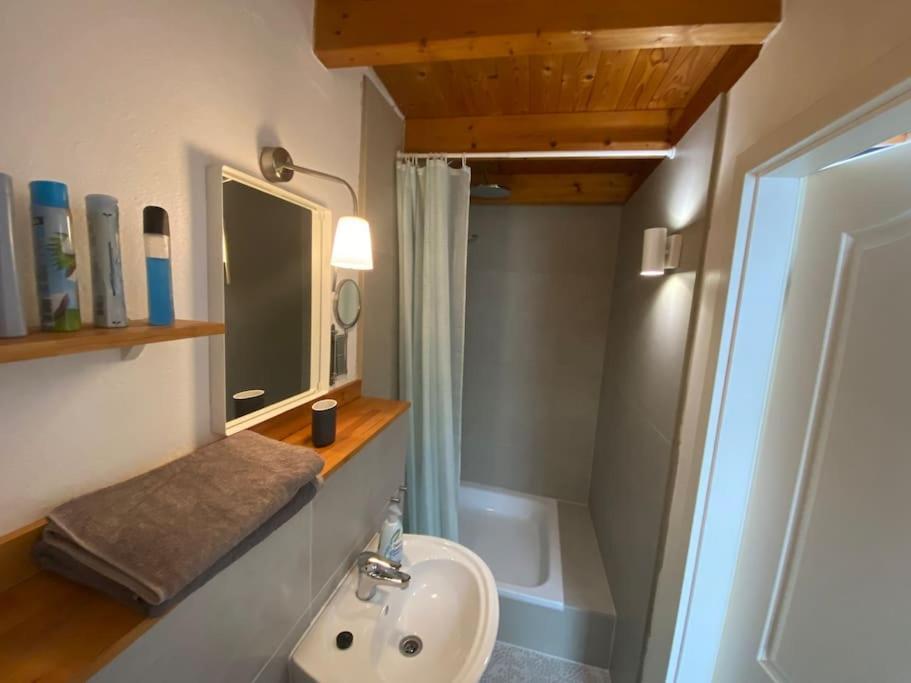 Apartment Wilhelmstr Fuer Bis Zu 3 Personen Brühl エクステリア 写真